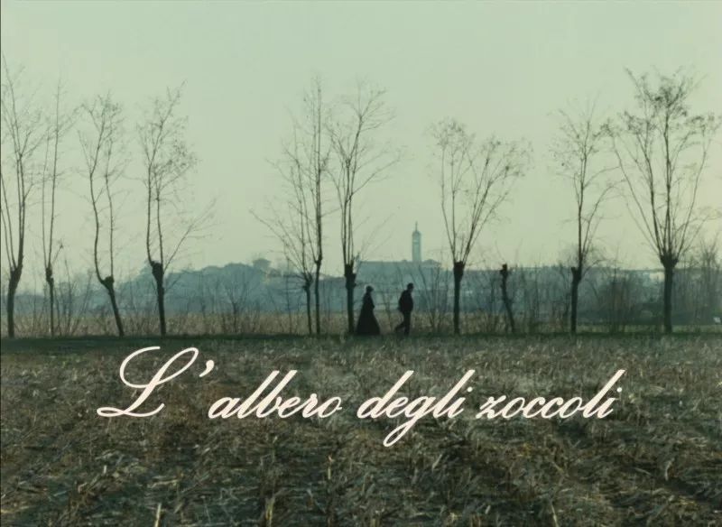 拍文艺片的导演都在想什么?