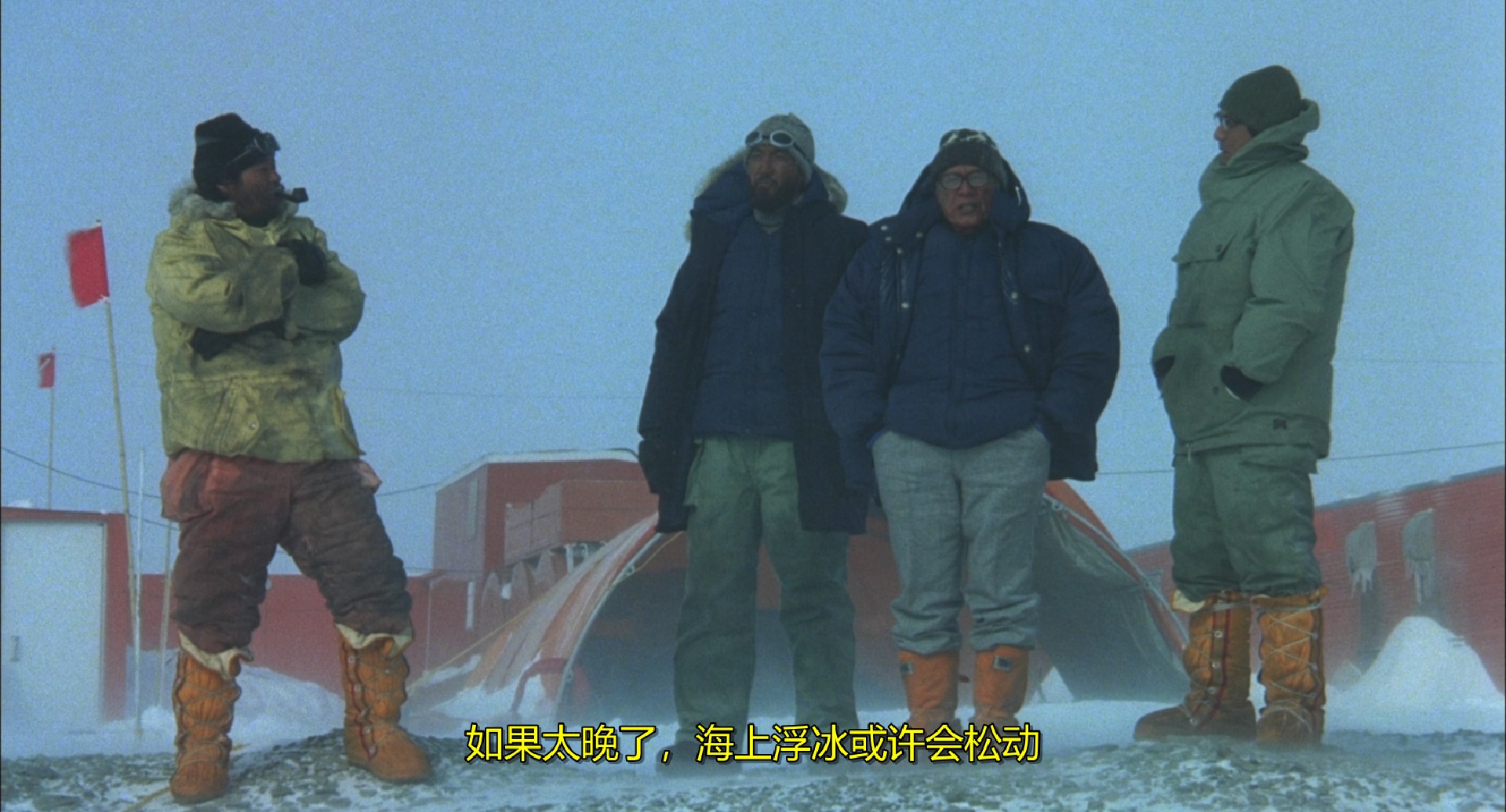 忠犬八公只是宠物 这批桦太犬才是英雄 泪奔 南极物语影评 南极物语评分