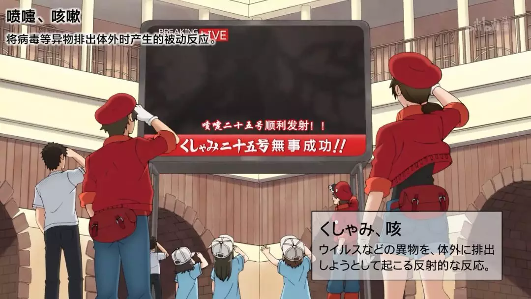 Undergraduate心理学的心理学筆記 Clearnote