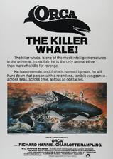 杀人鲸海报