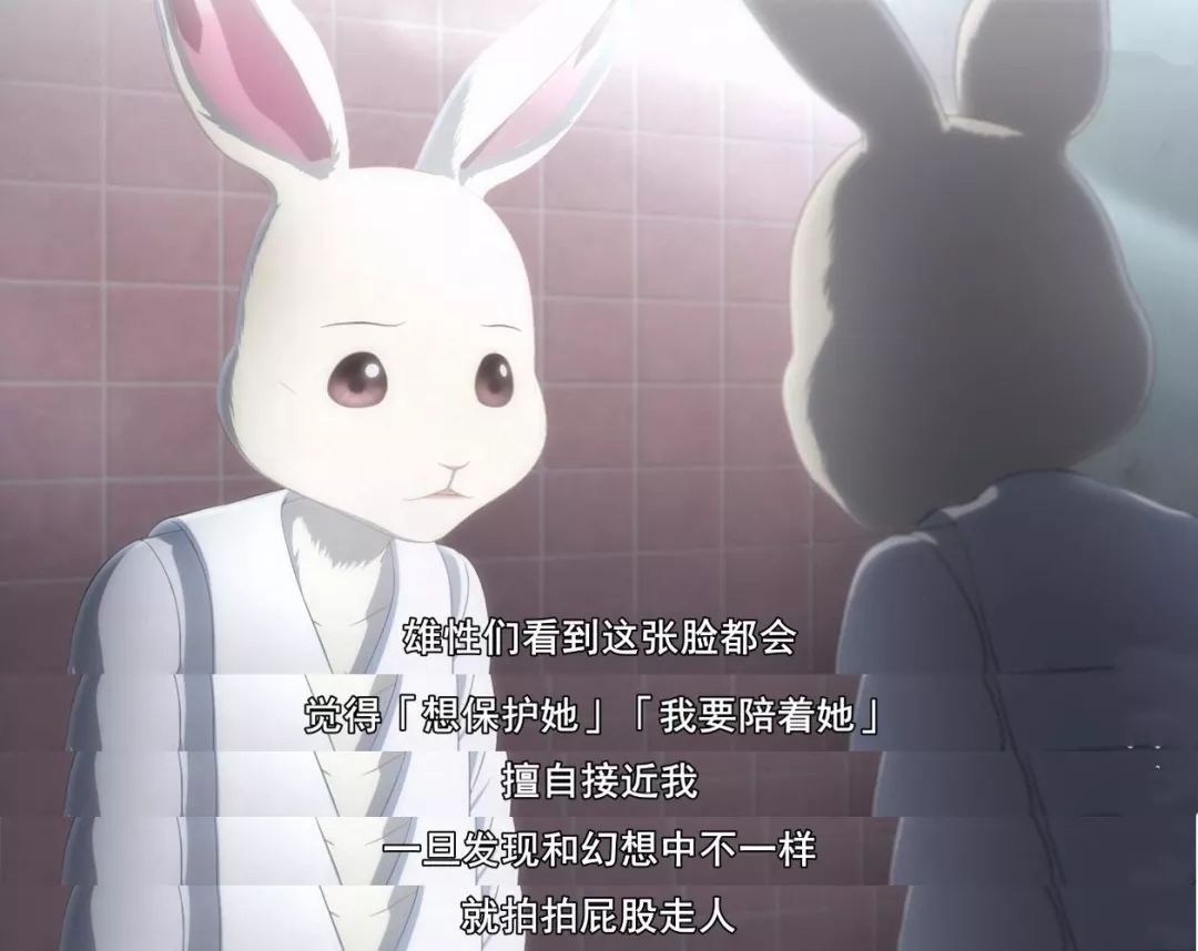 一集9 4分 神作预定 动物狂想曲影评 动物狂想曲评分