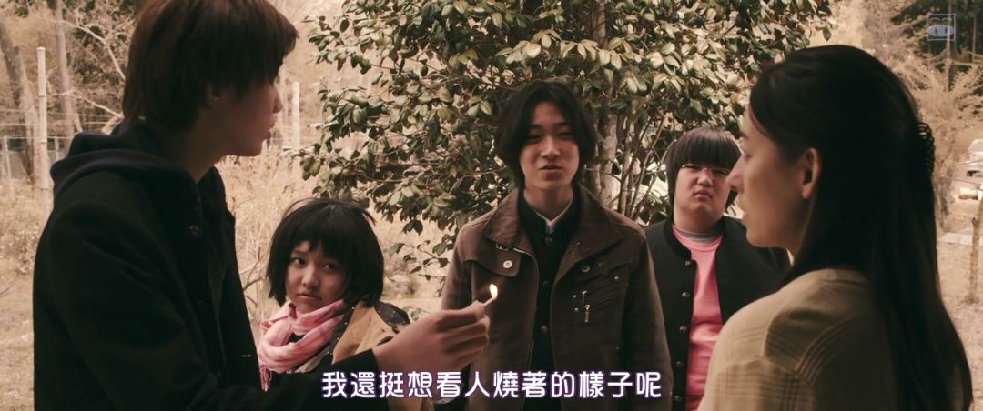 少女杀人分尸 岛国的爽片 我们的现实 三角草的春天影评 三角草的春天评分