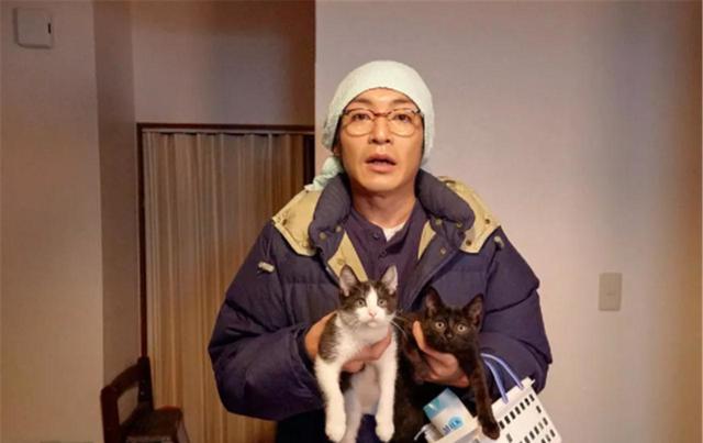 为什么猫都叫不来 影评 猫所拥有的细腻与感恩 为什么猫都叫不来影评 为什么猫都叫不来评分