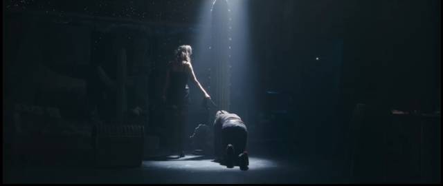 穿裘皮的维纳斯