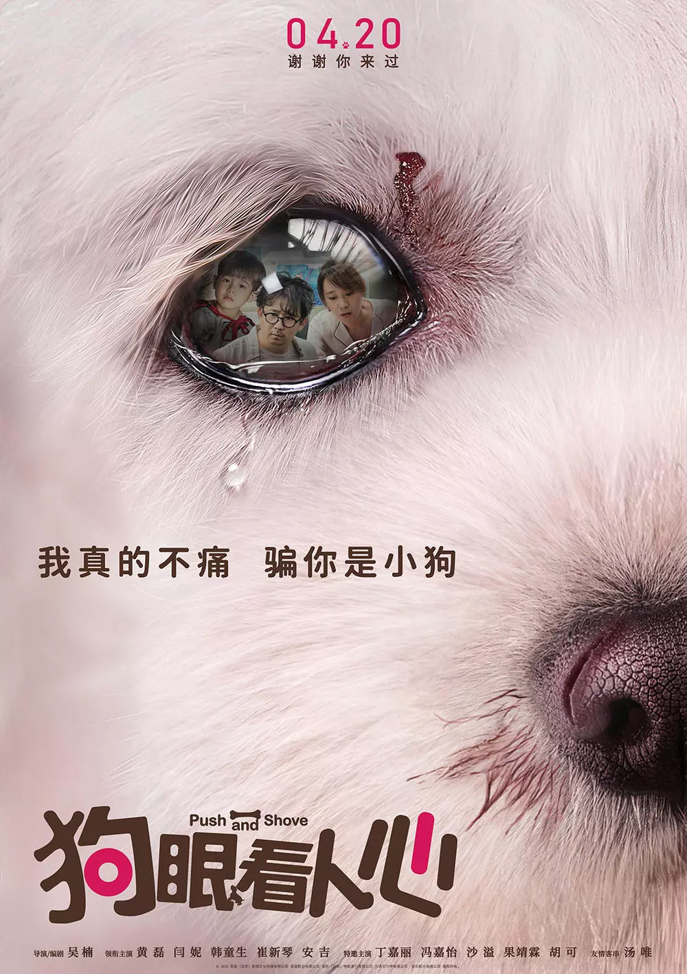 狗眼看人心 忠犬舍命救主戳泪点 爱你胜过爱自己 狗眼看人心影评 狗眼看人心评分