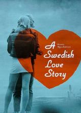 瑞典爱情故事海报