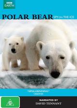 北极熊：冰上侦探海报