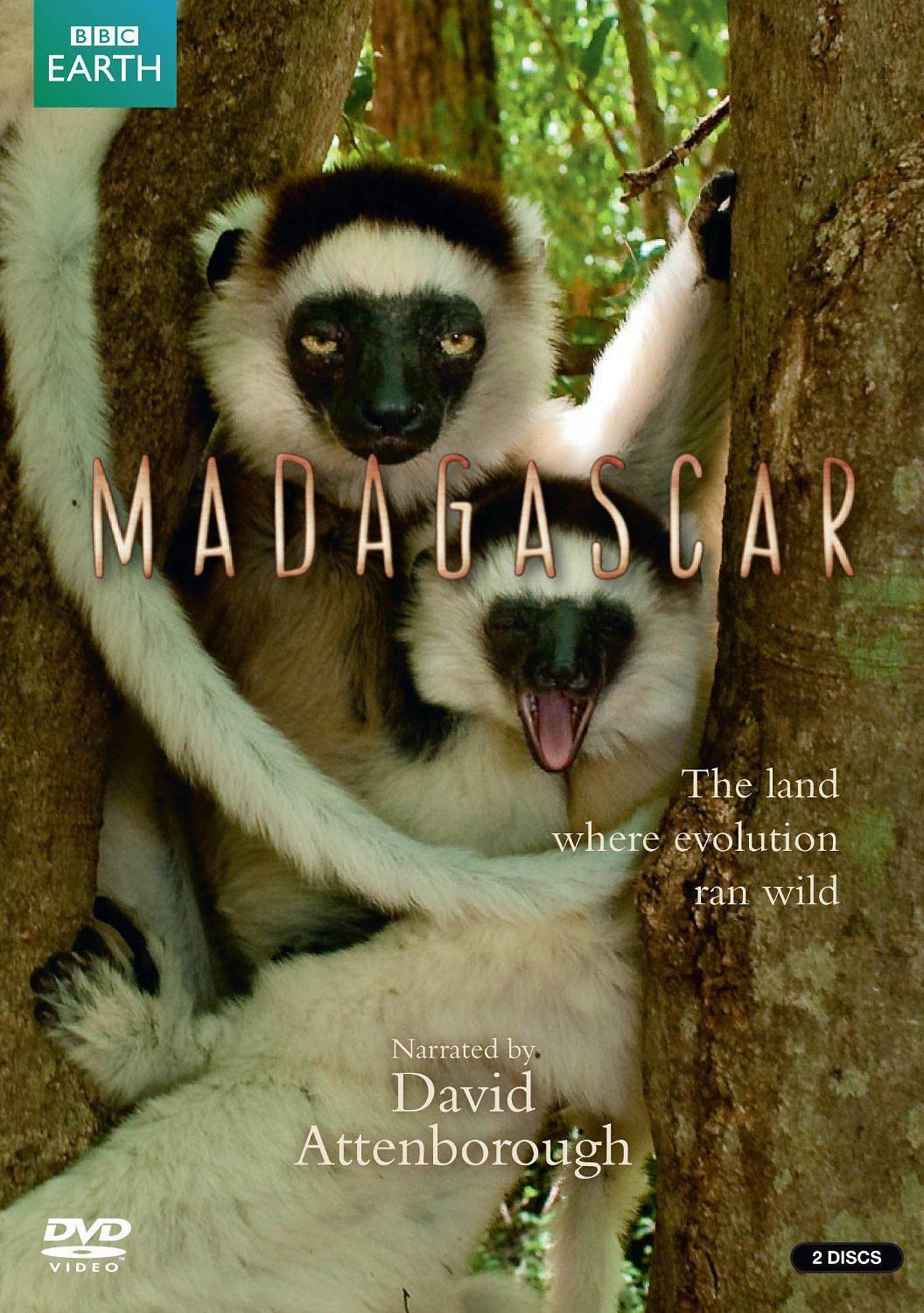 马达加斯加