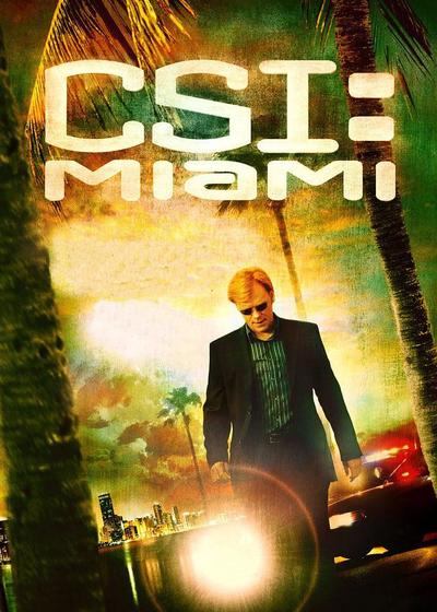犯罪现场调查：迈阿密 第六季海报