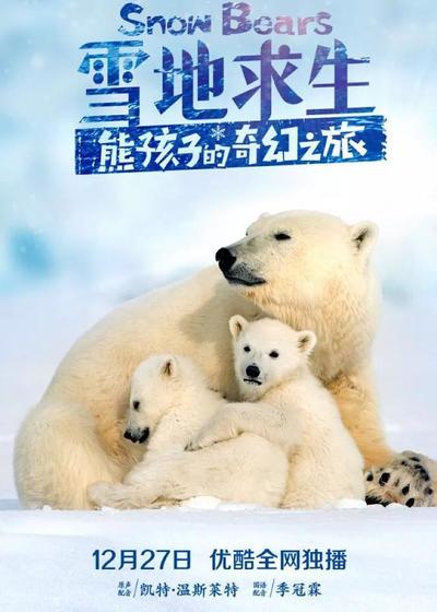 雪地求生：熊孩子的奇幻之旅海报