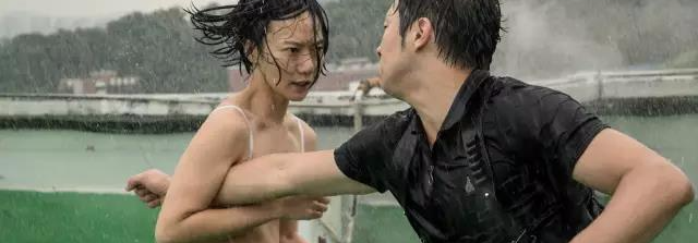 秘密森林|秘密森林简介|秘密森林剧情介绍|秘密